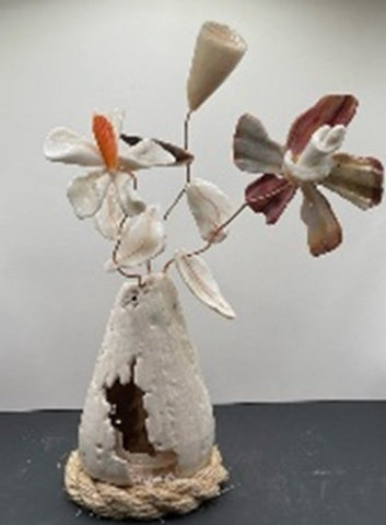 Where the Ocean Grows